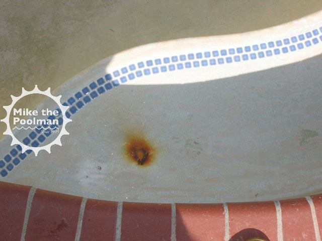 Pool-Rebar-36