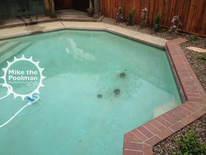 Pool-Rebar-23