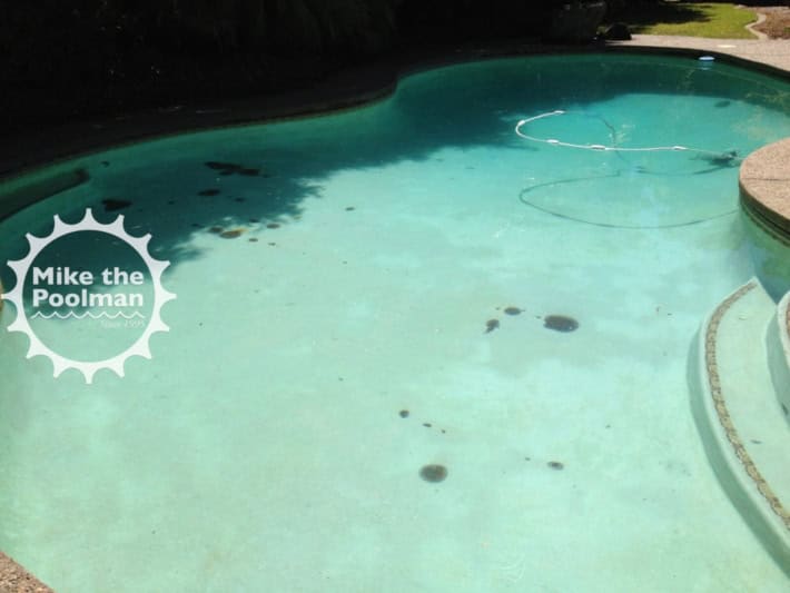 Pool-Rebar-25