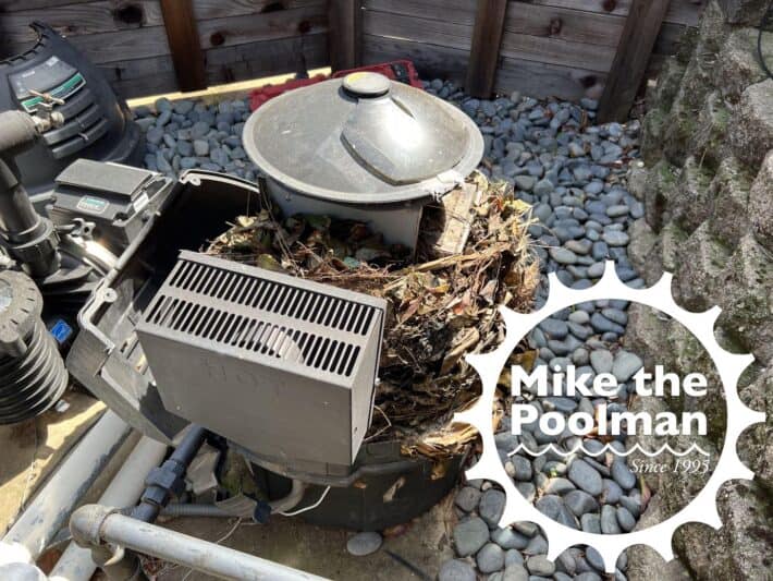 Swimming Pool Heater w rats nest