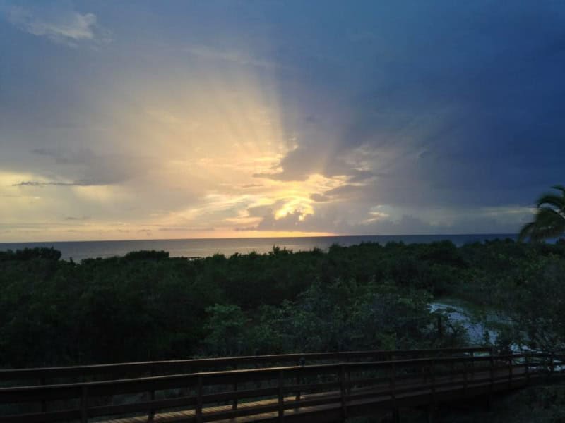 Amazing Sunsets