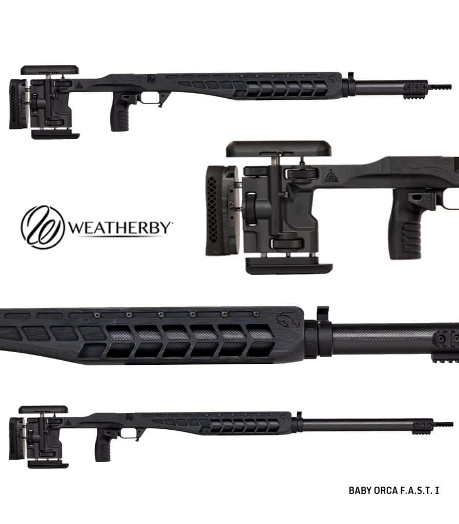 Baby-Orca-FAST-I-black-on-black-Weatherby